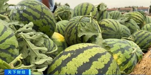 商丘澡堂吃瓜事件,一场意外引发的舆论风波