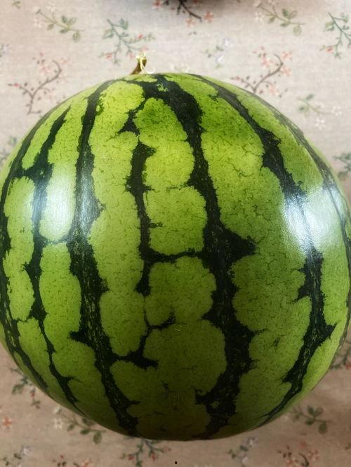 昨天晚上吃瓜,一场意想不到的娱乐圈风云