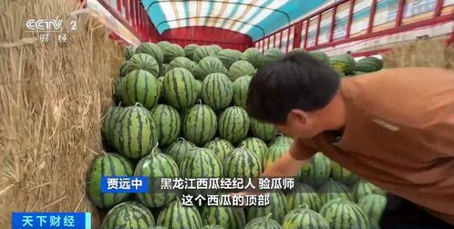 和平里吃瓜,夏日吃瓜盛宴，共享清凉时光