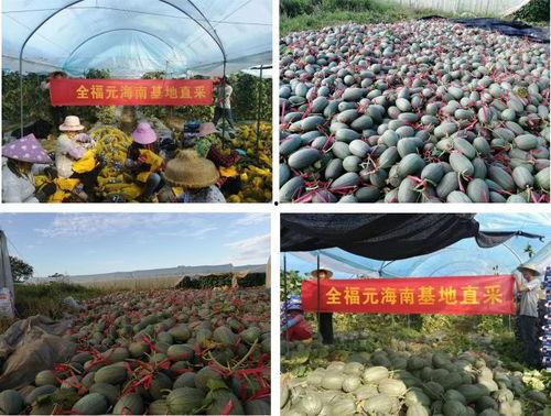 日常吃瓜基地,揭秘娱乐圈幕后真相