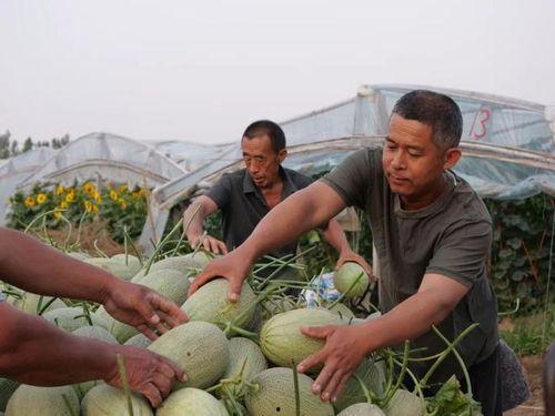 卤蛋徐吃瓜,揭秘娱乐圈幕后故事