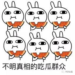 吃瓜约定,吃瓜群众眼中的明星幕后故事