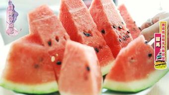 孕妇吃瓜搞笑视频,瓜果飘香，萌娃笑翻天