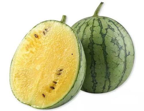 抬好板凳吃瓜,揭秘“抬好板凳吃瓜”的独特文化现象