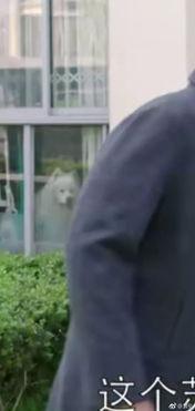 吃瓜群众吃皮裤视频播放