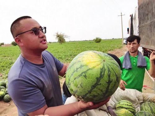 侃侃吃瓜中心,揭秘娱乐圈幕后故事，带你领略明星真实生活
