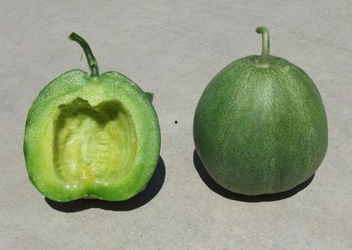 此生不做吃瓜人,只做人生主角