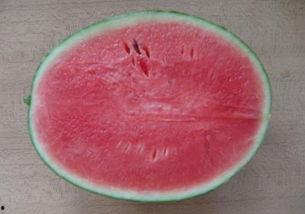 此生不做吃瓜人,只做人生主角