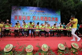 吃瓜大赛决赛现场,吃瓜大赛决赛现场精彩瞬间回顾