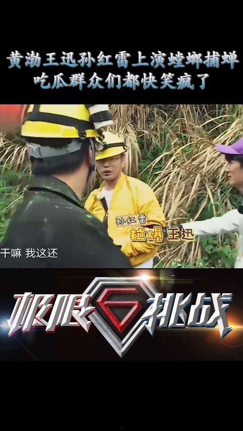 吃瓜群众笑疯,揭秘网络热梗背后的欢乐风暴