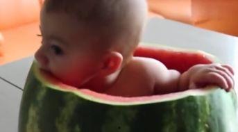 吃瓜视频 婴儿,婴儿萌态瞬间，萌化人心！