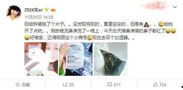 吃瓜群众类似文,吃瓜群众视角下的明星生活