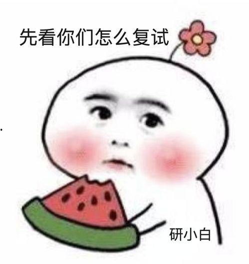 吃瓜不忘初蕊,回味悠长的美食之旅