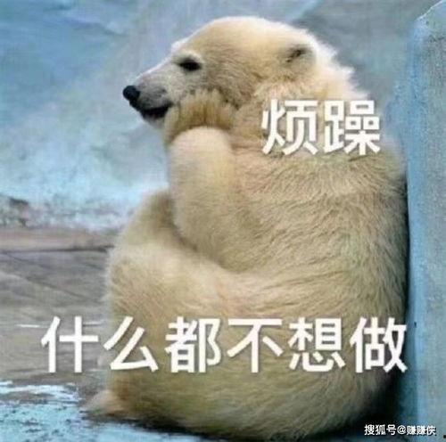 吃瓜群众专用图片,揭秘吃瓜群众专用图片背后的趣味与真相