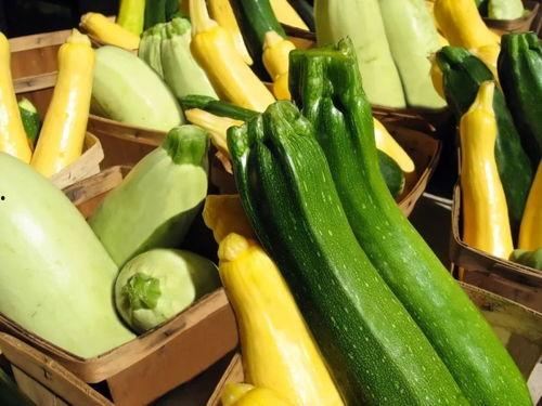 天津带你吃瓜,跟随“带你吃瓜”探索津门风味