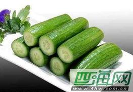 吃瓜资料简介,一场全民娱乐的盛宴