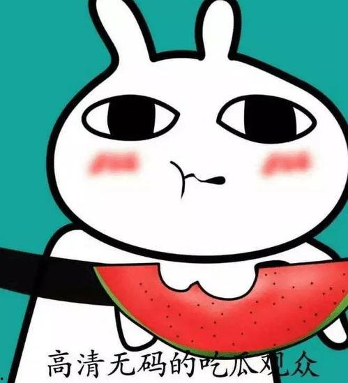 当吃瓜路人,一场全民参与的娱乐盛宴