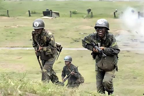 台湾军队吃瓜视频,军中生活趣味横生，网友热议