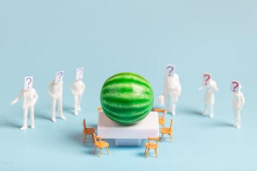 全网爆料吃瓜导航,吃瓜导航带你畅游八卦海洋