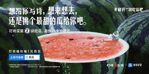 姊妹吃瓜文案,姊妹吃瓜，揭秘明星幕后故事