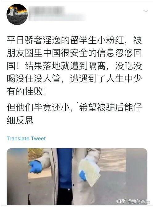 惠东吃瓜事件始末,一场网络舆论的风波与反思