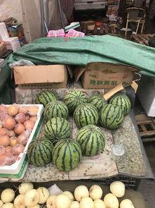 吃郑州的瓜,探寻中原大地上的味蕾盛宴