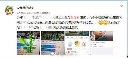 刷礼物吃瓜群众,揭秘网络直播背后的狂欢与争议