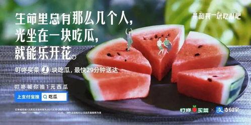 吃瓜配剧文案,一场视觉与味蕾的双重盛宴