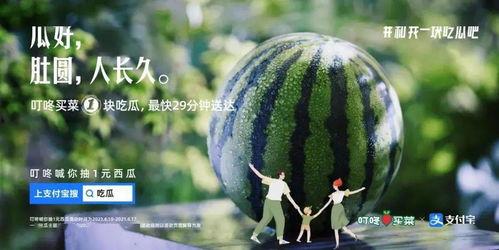 吃瓜配剧文案,一场视觉与味蕾的双重盛宴