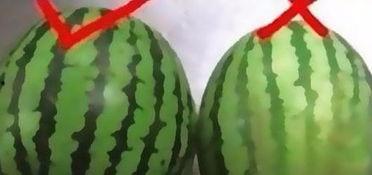 傻傻的吃瓜,揭秘娱乐圈那些不为人知的幕后故事