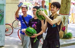 音乐学校吃瓜,揭秘校园里的“吃瓜”事件