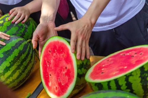 音乐学校吃瓜,揭秘校园里的“吃瓜”事件