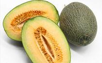 哈密瓜在什么季节吃的