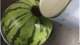 室友边吃瓜,室友边吃瓜边揭秘娱乐圈幕后故事