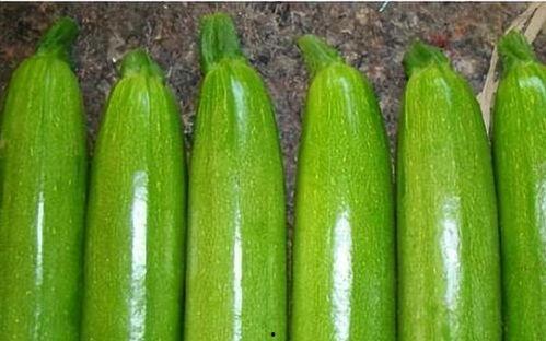 吃中药能吃白瓜吗