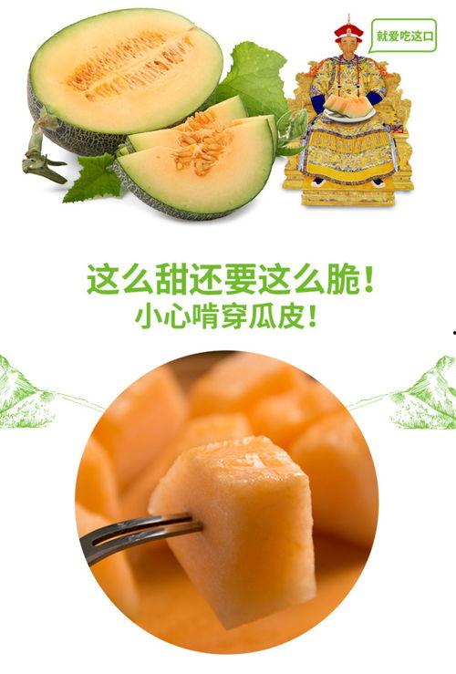 穿书吃瓜推荐,解锁吃瓜达人新技能