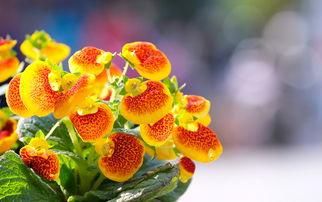 峰峰公园吃瓜,畅享清凉时光