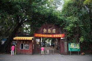 峰峰公园吃瓜,畅享清凉时光