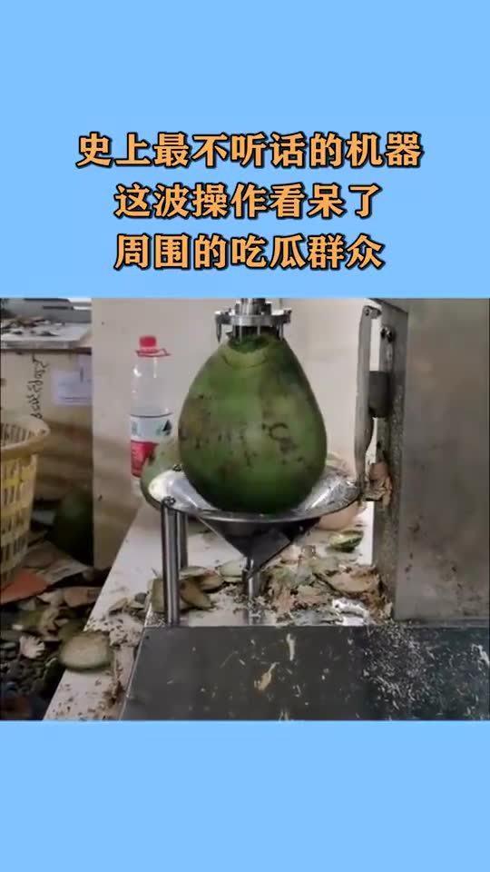 机械吃瓜,揭秘科技与娱乐的跨界融合