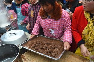 吃瓜看戏的检修蛋,检修蛋背后的故事揭秘