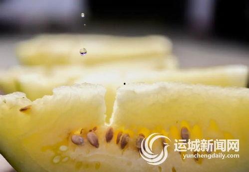 万荣县三白瓜怎么吃,多味食法，尽享田园美味