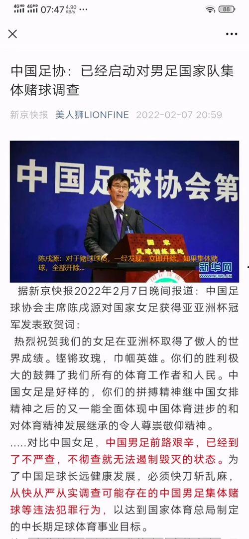 吃瓜协会怎么进,如何加入这个独特的社交圈子