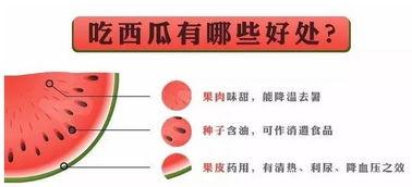 吃瓜协会怎么进,如何加入这个独特的社交圈子