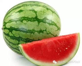 夏天热吃瓜,清凉一“瓜”解暑趣