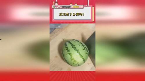 吃瓜补肾吗,揭秘瓜类食物的补肾功效