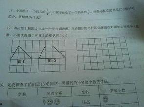 吃瓜小熊函数,趣味函数背后的故事