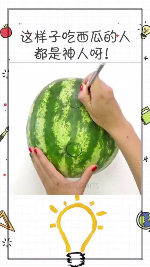 吃瓜神人,网络红人的崛起与影响力