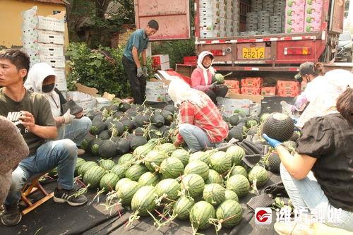 行走在吃瓜前线的你们