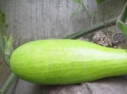 砍瓜怎么吃的,探索独特美味的多样吃法
