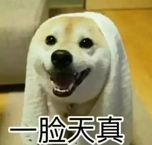 楼下吵架楼上吃瓜视频,楼上楼下“吃瓜”现场直击